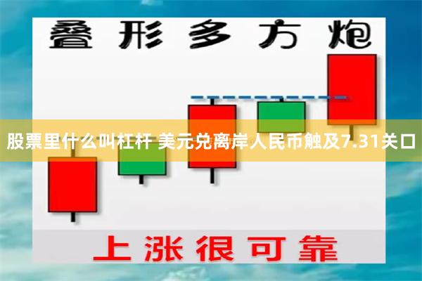 股票里什么叫杠杆 美元兑离岸人民币触及7.31关口