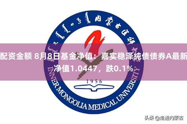 配资金额 8月8日基金净值：嘉实稳泽纯债债券A最新净值1.0447，跌0.1%