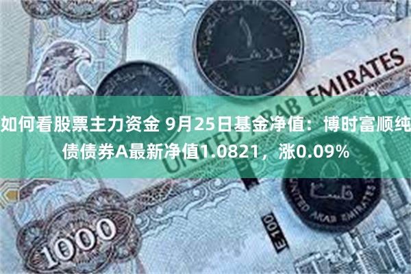 如何看股票主力资金 9月25日基金净值：博时富顺纯债债券A最新净值1.0821，涨0.09%