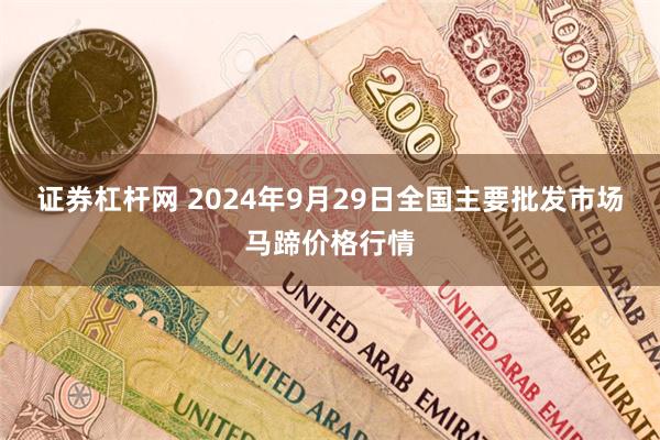 证券杠杆网 2024年9月29日全国主要批发市场马蹄价格行情