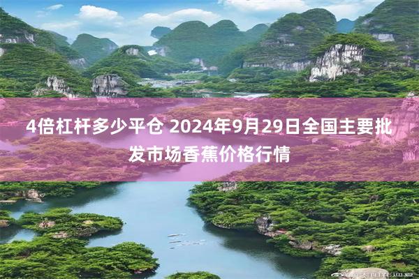 4倍杠杆多少平仓 2024年9月29日全国主要批发市场香蕉价格行情