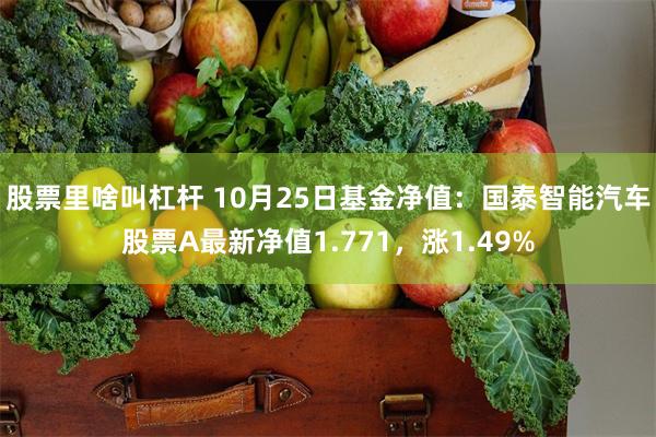 股票里啥叫杠杆 10月25日基金净值：国泰智能汽车股票A最新净值1.771，涨1.49%