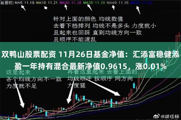 双鸭山股票配资 11月26日基金净值：汇添富稳健添盈一年持有混合最新净值0.9615，涨0.01%