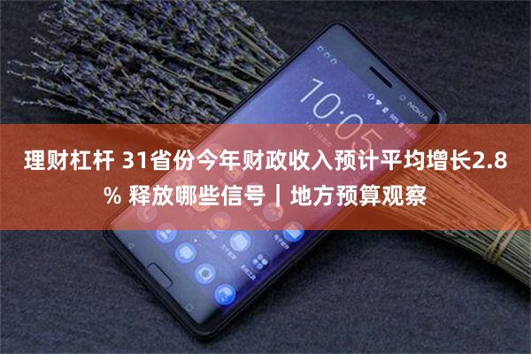 理财杠杆 31省份今年财政收入预计平均增长2.8% 释放哪些信号｜地方预算观察